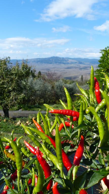 فولتيرا Agriturismo B And B Rifugio Dei Sogni المظهر الخارجي الصورة