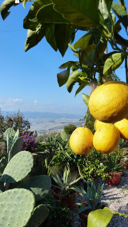 فولتيرا Agriturismo B And B Rifugio Dei Sogni المظهر الخارجي الصورة