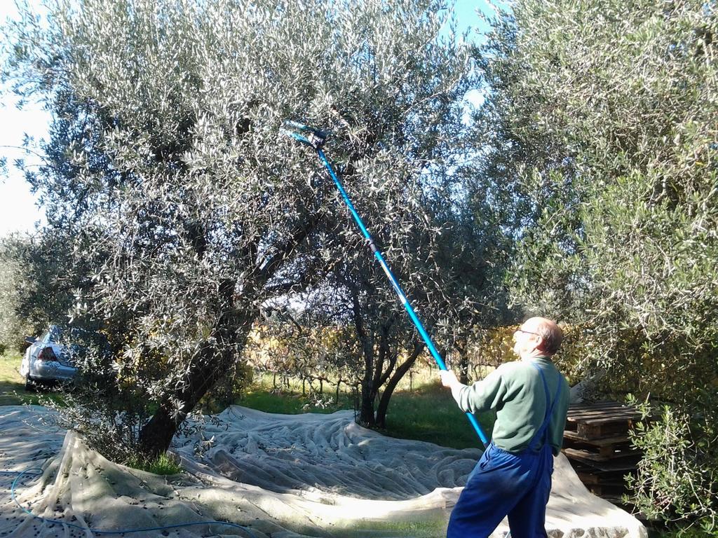 فولتيرا Agriturismo B And B Rifugio Dei Sogni المظهر الخارجي الصورة